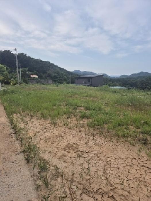 2025타경3751 법원경매 사진43 | 전남 장성군 전답 경매