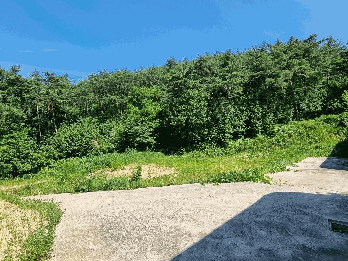 2025타경3751 법원경매 사진5 | 전남 장성군 전답 경매