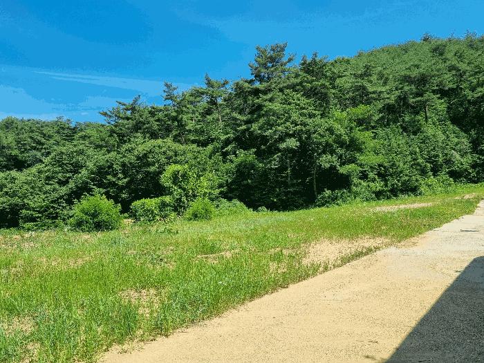 2025타경3751 법원경매 사진6 | 전남 장성군 전답 경매