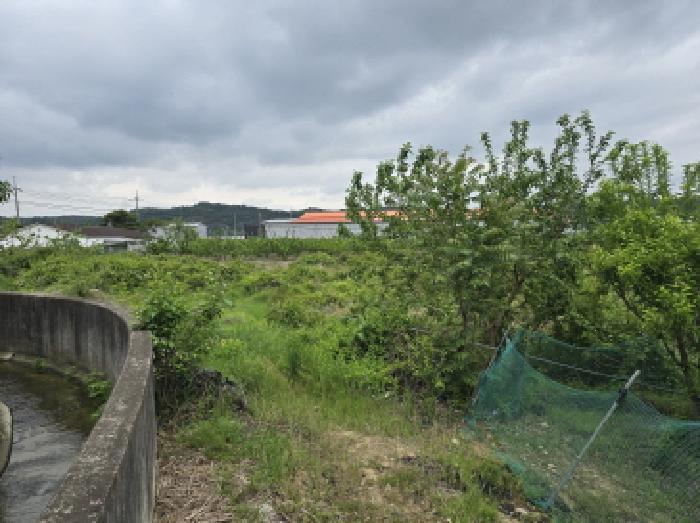 법원경매 2025타경771 사진10 | 영천시 임고면 답 경매
