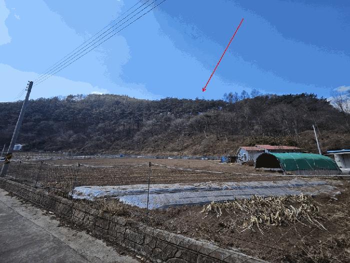 법원경매 2025타경10056 사진2 | 영양군 입암면 대천리 임야 경매