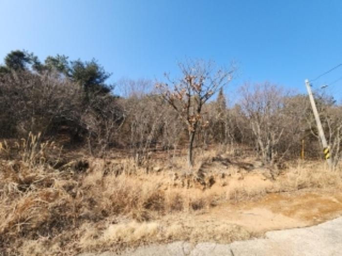 2024타경117 법원경매 사진4 | 인천 중구 임야 경매