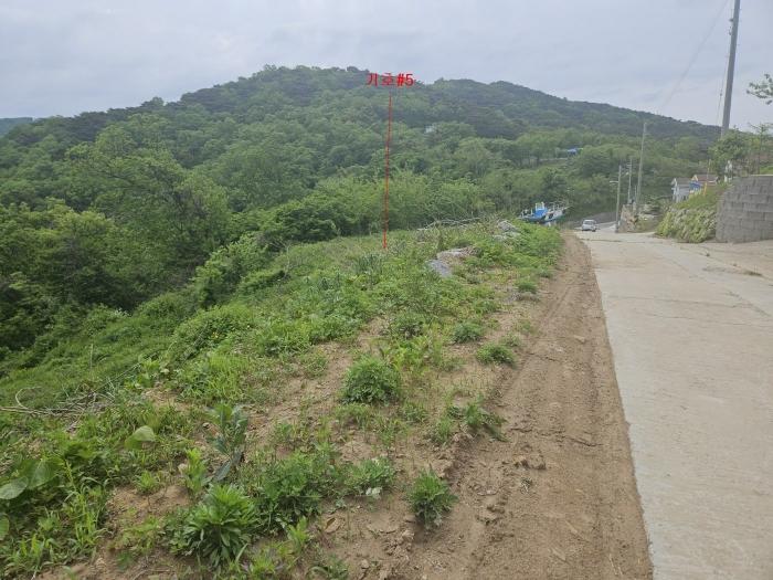 2024타경5549 법원경매 사진2 | 인천 옹진군 임야 경매
