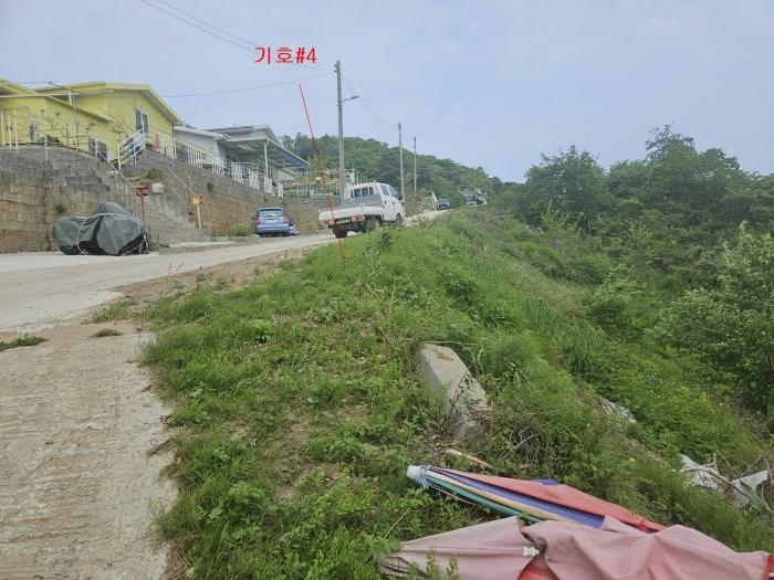 2024타경5549 법원경매 사진5 | 인천 옹진군 임야 경매