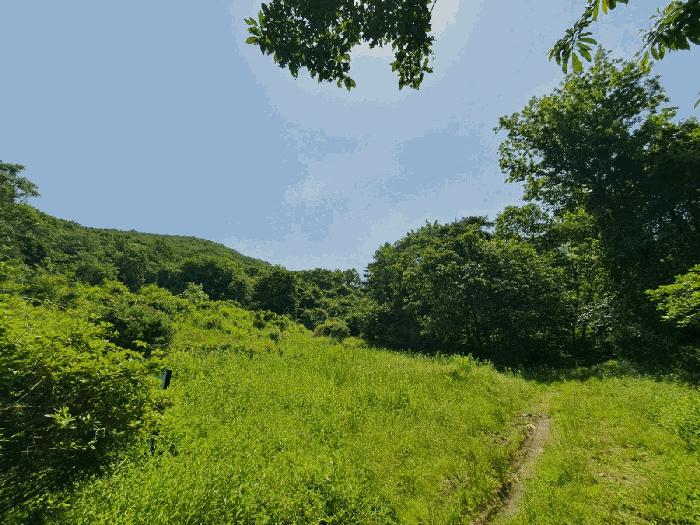 법원경매 2025타경52270 사진2 | 광주시 남한산성면 엄미리 임야 경매