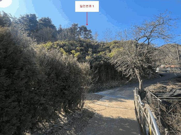 강원특별자치도 삼척시 적노동 산26 법원경매 물건 대표사진
