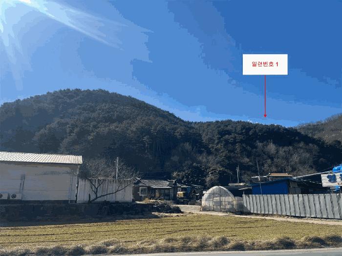 법원경매 2025타경30444 사진2 | 삼척시 적노동 임야 경매
