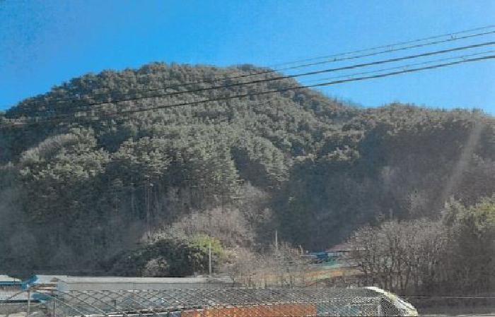 법원경매 2025타경30444 사진3 | 삼척시 적노동 임야 경매