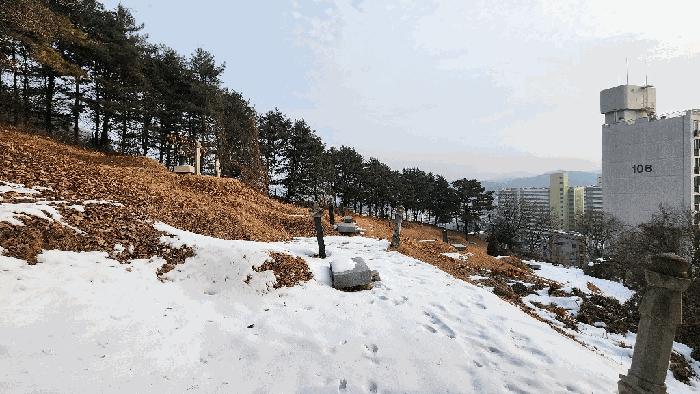 법원경매 2025타경20248 사진5 | 원주시 문막읍 동화리 임야 경매