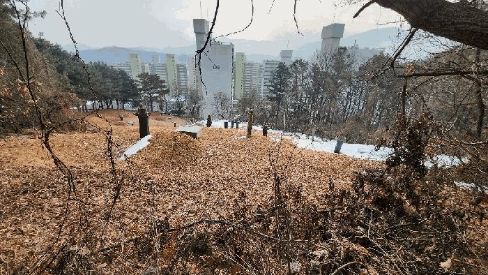 법원경매 2025타경20248 사진6 | 원주시 문막읍 동화리 임야 경매