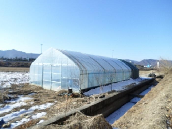 법원경매 2025타경20279 사진7 | 원주시 문막읍 포진리 950 답 경매