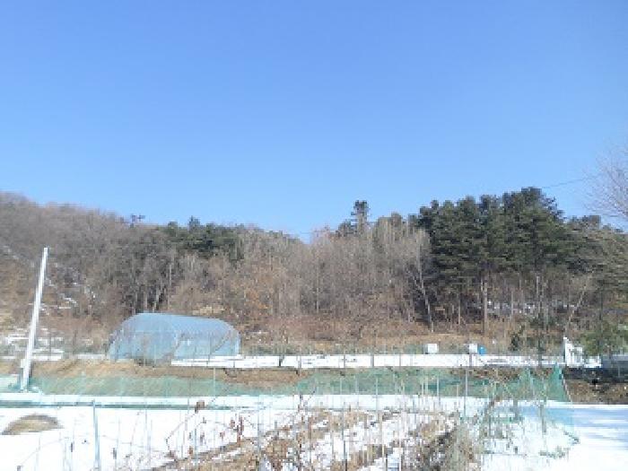 법원경매 2025타경20385 사진4 | 원주시 소초면 임야 경매
