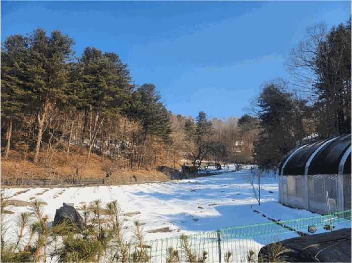 법원경매 2025타경20385 사진6 | 원주시 소초면 임야 경매