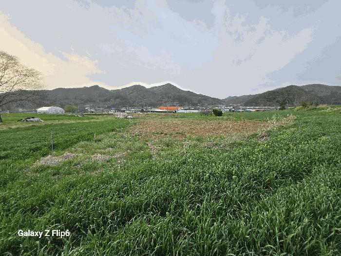 2025타경401 법원경매 사진4 | 충남 논산시 임야 경매