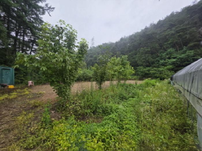 2025타경129 법원경매 사진12 | 충북 제천시 답 경매