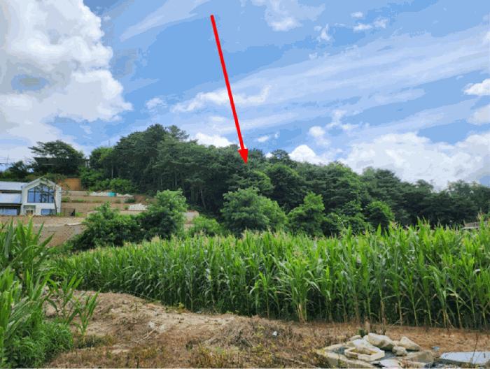 2025타경135 법원경매 사진2 | 충북 제천시 임야 경매