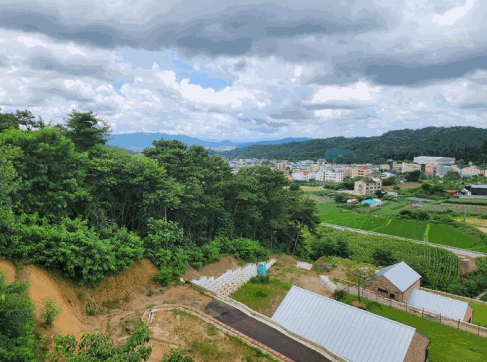 2025타경135 법원경매 사진4 | 충북 제천시 임야 경매