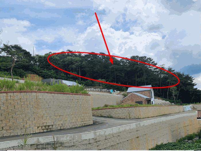 2025타경135 법원경매 사진5 | 충북 제천시 임야 경매