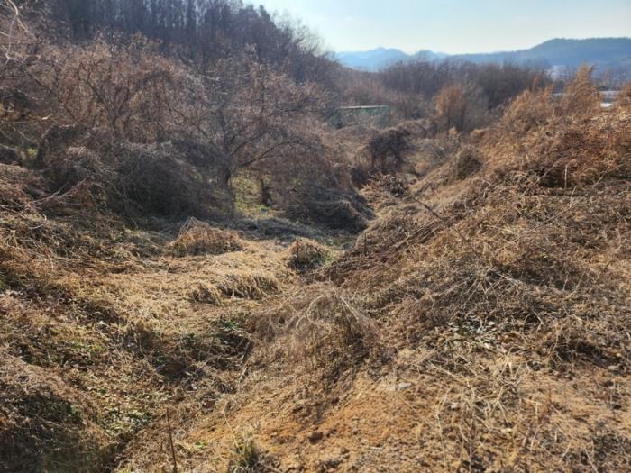 2024타경36042 법원경매 사진3 | 충북 충주시 임야 경매