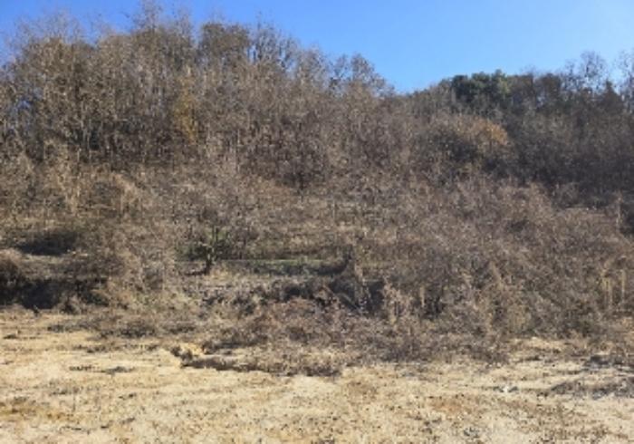 2024타경36042 법원경매 사진30 | 충북 충주시 임야 경매
