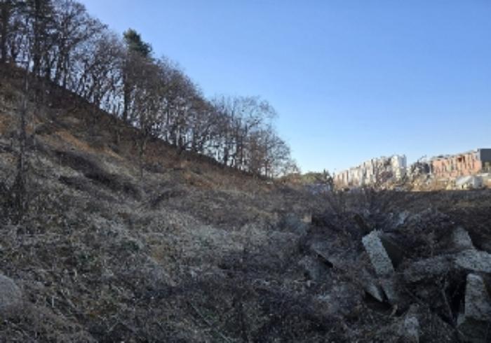2024타경36042 법원경매 사진36 | 충북 충주시 임야 경매