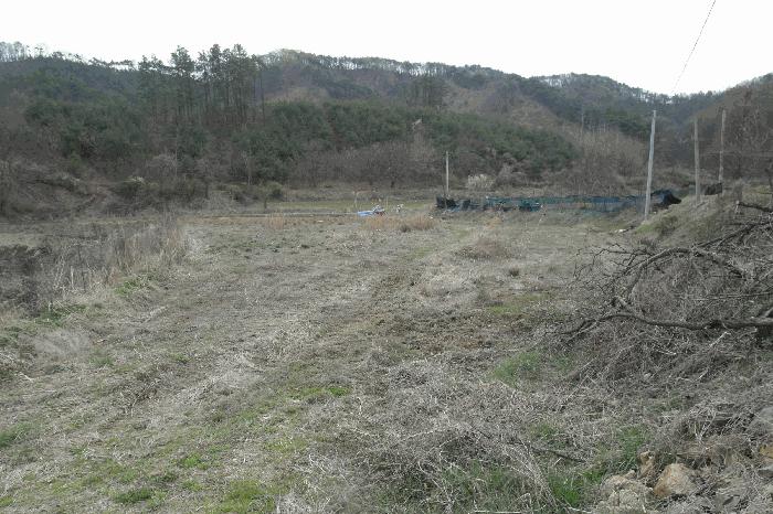 충청남도 논산시 벌곡면 조동리 78 법원경매 물건 대표사진