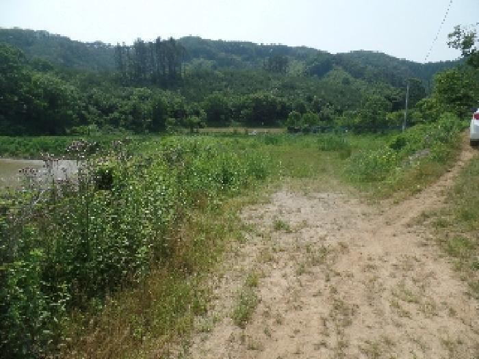 2025타경20305 법원경매 사진5 | 충남 논산시 답 경매