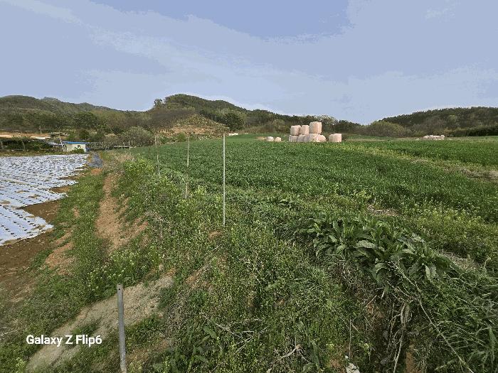 2025타경20311 법원경매 사진2 | 충남 논산시 전 경매
