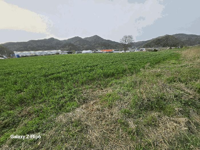 2025타경20311 법원경매 사진3 | 충남 논산시 전 경매