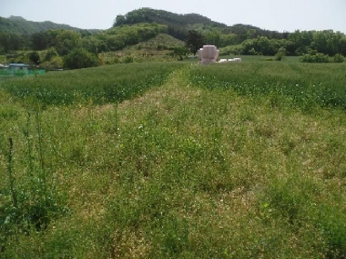 2025타경20311 법원경매 사진4 | 충남 논산시 전 경매