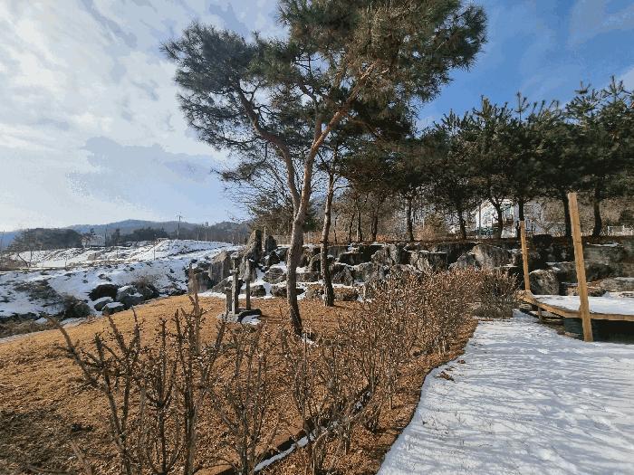 2025타경30324 법원경매 사진6 | 충북 충주시 단독주택다가구 경매