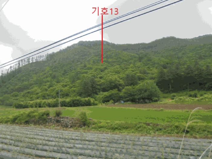2025타경5339 법원경매 사진22 | 충북 제천시 임야 경매
