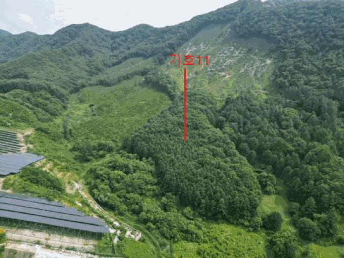 2025타경5339 법원경매 사진34 | 충북 제천시 임야 경매