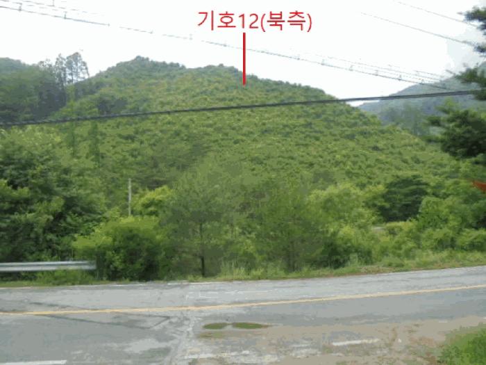 2025타경5339 법원경매 사진37 | 충북 제천시 임야 경매
