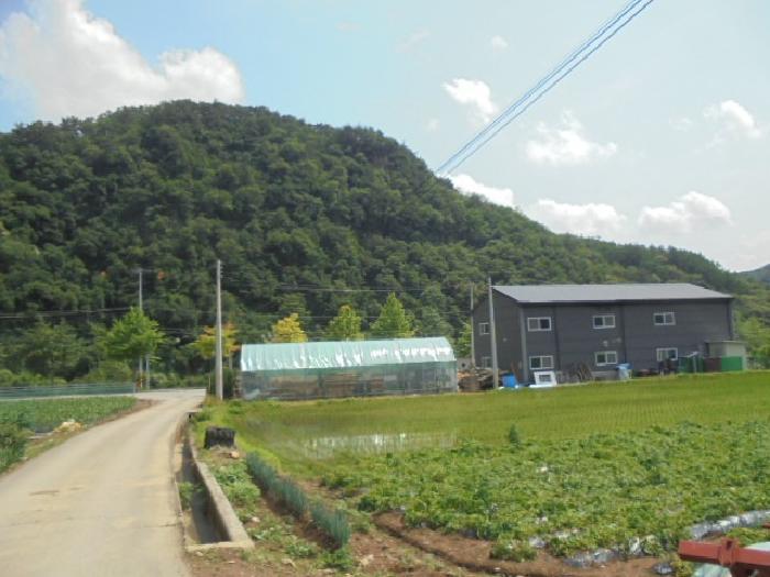 2025타경5339 법원경매 사진59 | 충북 제천시 임야 경매