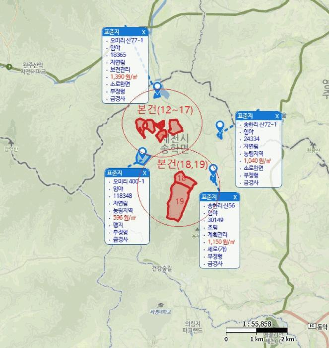 2025타경5339 법원경매 사진75 | 충북 제천시 임야 경매