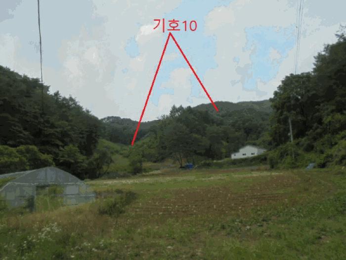 2025타경5339 법원경매 사진13 | 충북 제천시 임야 경매