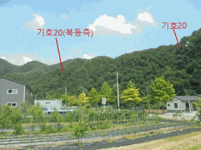 2025타경5339 법원경매 사진14 | 충북 제천시 임야 경매