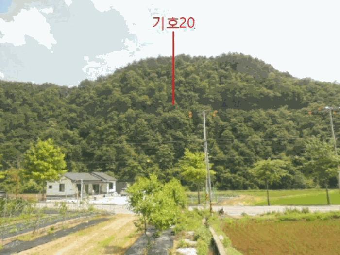 2025타경5339 법원경매 사진17 | 충북 제천시 임야 경매
