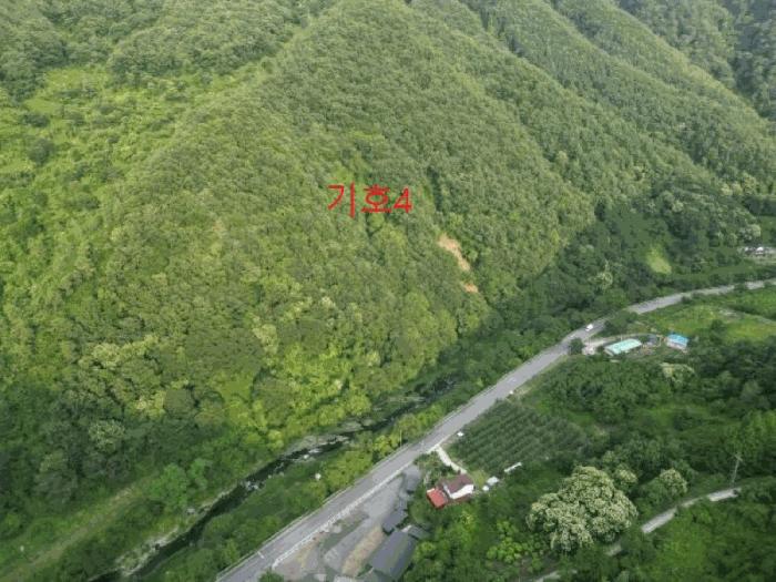 2025타경5339 법원경매 사진19 | 충북 제천시 임야 경매