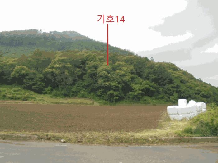 2025타경5339 법원경매 사진5 | 충북 제천시 임야 경매