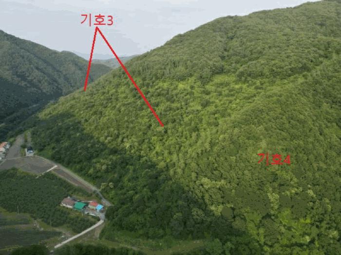 2025타경5339 법원경매 사진9 | 충북 제천시 임야 경매