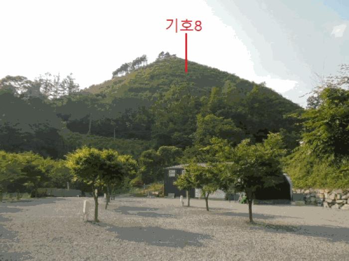 2025타경5339 법원경매 사진12 | 충북 제천시 임야 경매