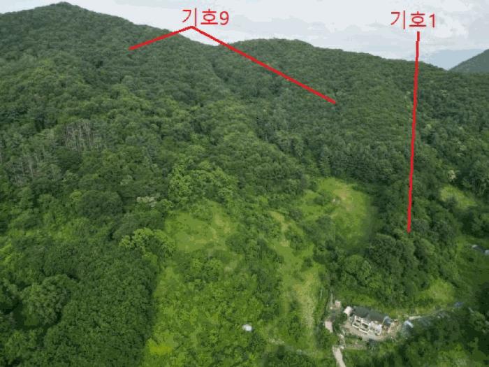 2025타경5339 법원경매 사진21 | 충북 제천시 임야 경매