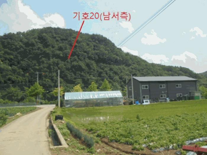 2025타경5339 법원경매 사진28 | 충북 제천시 임야 경매