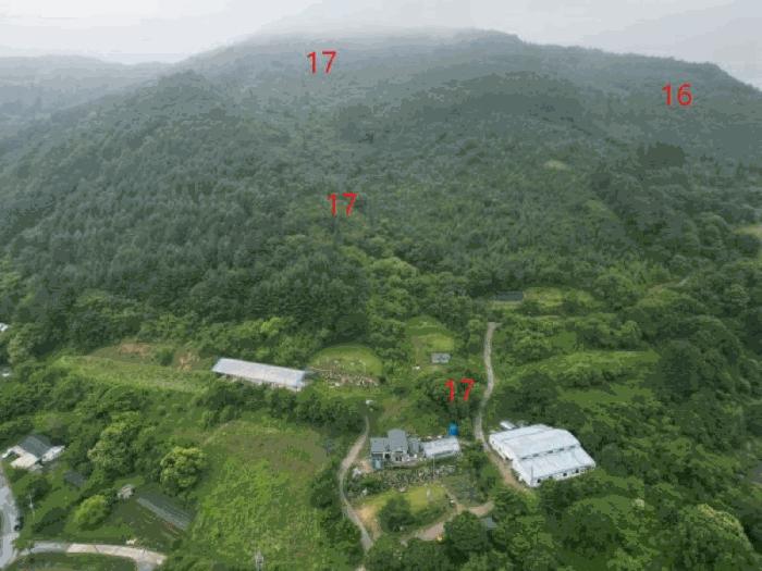 2025타경5339 법원경매 사진40 | 충북 제천시 임야 경매