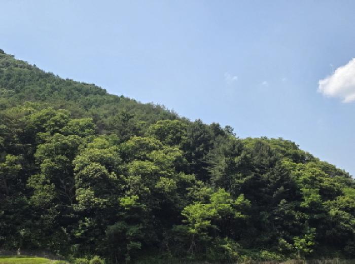 2025타경5339 법원경매 사진57 | 충북 제천시 임야 경매