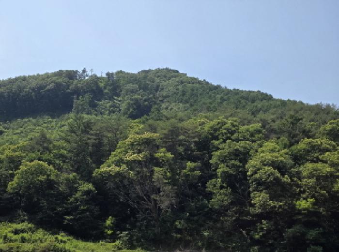 2025타경5339 법원경매 사진64 | 충북 제천시 임야 경매