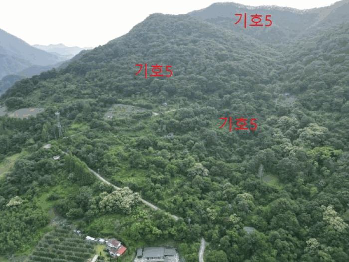 법원경매 2025타경5339 사진25 | 제천시 한수면 덕곡리 임야 경매