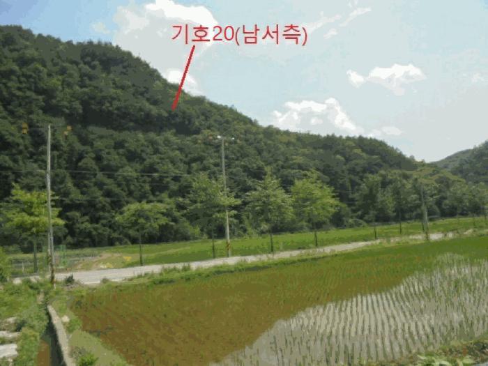 법원경매 2025타경5339 사진32 | 제천시 한수면 덕곡리 임야 경매